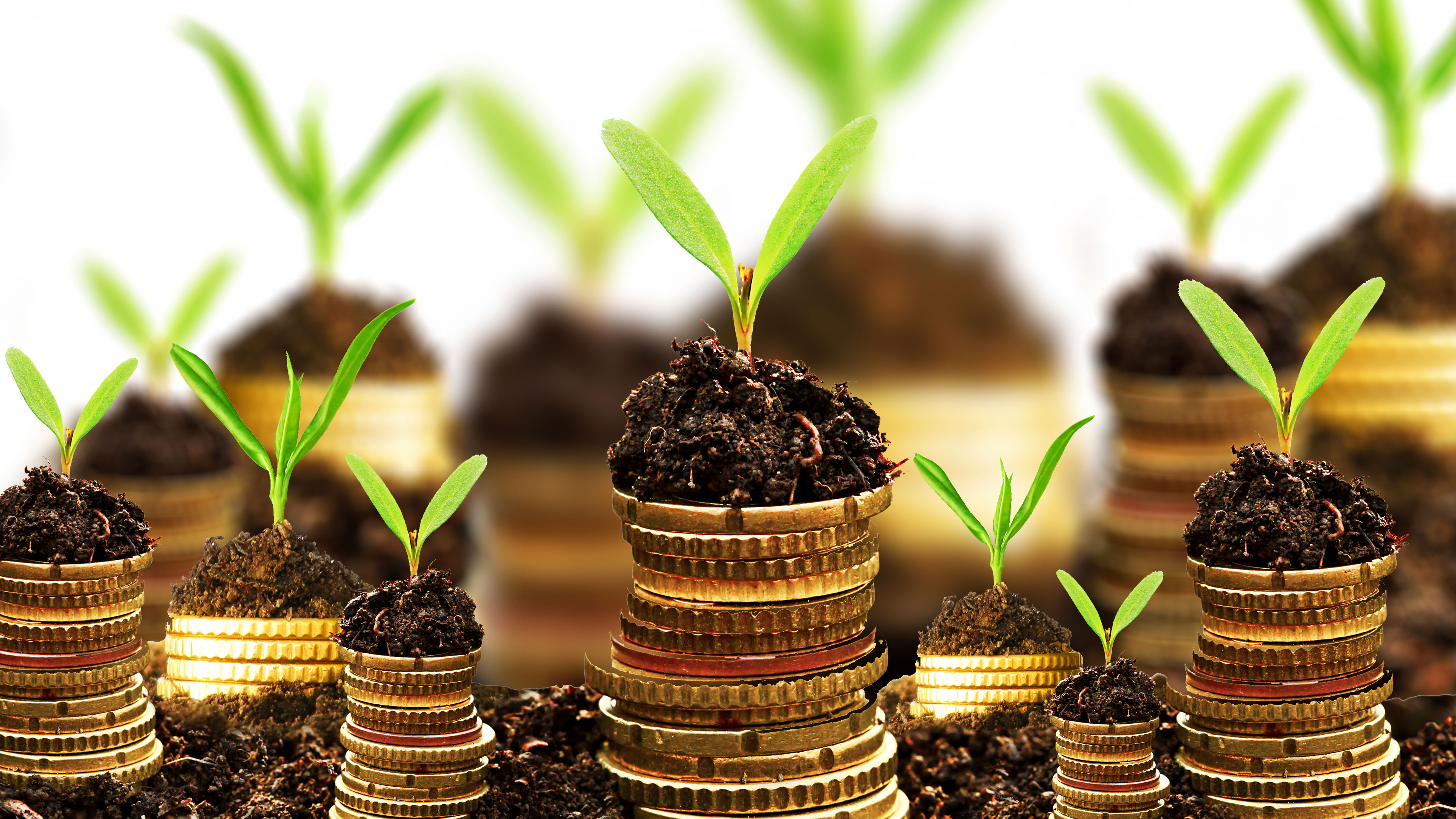 orologi investimento